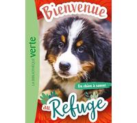 Bienvenue au refuge 02 - Un chien à sauver