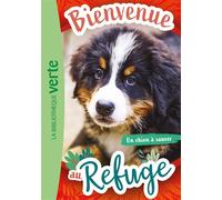 Bienvenue au refuge 02 - Un chien à sauver