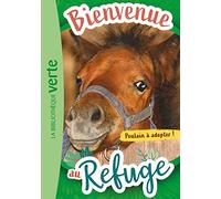 Bienvenue au refuge 03 - Poulain à adopter !