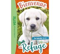Bienvenue au refuge 08 - Un labrador en or