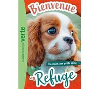 Bienvenue au refuge 13 - Un chien aux petits soins Hachette Livre (Auteur), Pascal Ruter (Adapté)