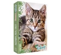 Bienvenue au refuge - Agenda 2026/2027 - Collectif - Hachette Jeunesse - broché - Agenda