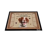 Bienvenue chez Moi - Chien Épagneul Breton Paillasson De Bienvenue Absorbant Paillasson D'Entree Facile À Nettoyer Tapis De Bain pour D'Entrée Salon Terrasse 40X60 Cm