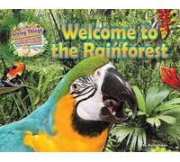 Bienvenue dans la forêt tropicale