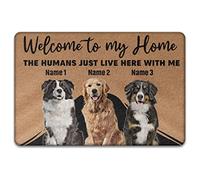 Bienvenue Personnalisé chez Moi, pour Les Amoureux des Chiens, Décorations De Noël 3 Chiens Paillasson De Bienvenue Paillasson D'Entree Antidérapant Tapis De Bain pour Salon Bain Terrasse 40X60Cm