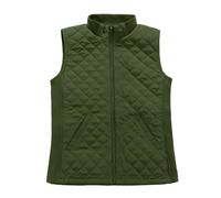 Bienzoe Femmes Slim Casual Zip Matelassé Sans manches Gilet Léger Stretch Olive XL