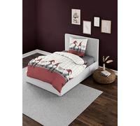 Bierbaum Parure de lit en Flanelle Fine 6946 - Conçu en Allemagne - Gris 01-135 x 200 cm + 80 x 80 cm