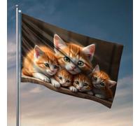 Bière Decor Adorable drapeau orange chaton portrait de famille pour votre chambre Accessoires de joueurs (30 x 45 cm)