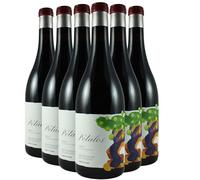 Bierzo Petalos Mencia - Rouge 2021 - Descendientes de Jose Palacios - Vin Rouge d'Espagne (6x75cl)