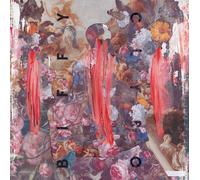 Biffy Clyro Errors in the History of God/Unknown Male (Vinyl)