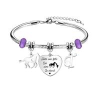 bifriend Cadeau d'amant animal,coeur d'argent drôle pendentif cheval bracelet 26 lettres initiales A - Z rappel bracelet bijoux fille sœur ami petite - fille nièce (T)