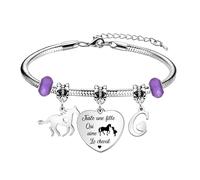 bifriend Cadeau d'amant animal,coeur d'argent drôle pendentif cheval bracelet 26 lettres initiales A - Z rappel bracelet bijoux fille sœur ami petite - fille nièce (C)