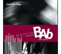 Big Acoustic Band - Invisible Way [Import]