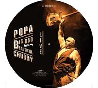 Big, Bad And Beautiful Volume 2 Picture Disc Vinyle