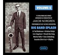 Big Band Splash: Volume 5 / Various [Import]