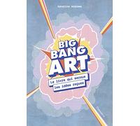 Big bang art Le livre qui secoue les idées reçues - Sandrine Andrews - Flammarion - broché - Essai