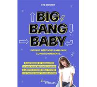 Big Bang Baby : fatigue, héritages familiaux, conditionnements...: Comprendre et surmonter ce que vous ressentez quand l'arrivée de bébé rebat toutes les cartes dans vos relations
