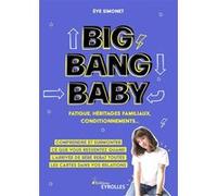 Big Bang Baby : fatigue, héritages familiaux, conditionnements... Eve Simonet (Auteur)