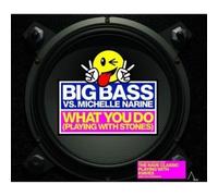Big Bass vs Michelle Narine - What You Do (Playing with Stones) PT. 2 [Import]