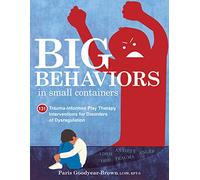 Big Behaviors in Small Containers: 131 Trauma-Informed Play Therapy Interventions for Disorders of Dysregulation