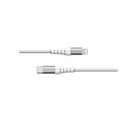 BIG BEN Câble Lightning vers USB-C 1.2m Blanc - Connecteurs Mâle/Mâle, Nylon Tressé, Certification MFi, Compatible iPhone/iPad/iPod
