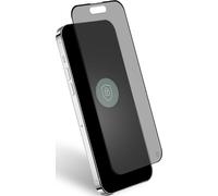 BIG BEN FGOGIP15PRIV écran et protection arrière de téléphones portables Protection de l'écran contre les regards indiscrets Apple 1 pièce(s)