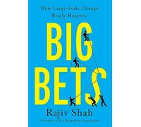 Big Bets – How Large-Scale Change Really Happens