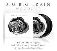Big Big Train - Woodcut