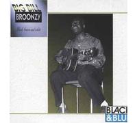 Big Bill Broonzy - Black, Brown and White