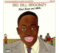 Big Bill Broonzy - Black, Brown And White