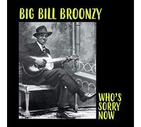 Big Bill Broonzy - Who S Sorry Now
