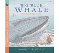 Big Blue Whale Read and Wonder by Nicola Davies & Illustrated by Nick Maland Nicola Davies (Auteur)