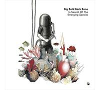 Big Bold Black Bone - in Search of The Emerging Species [Import]