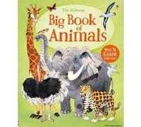 Big Book of Animals - [Version Originale] Hazel Maskell, Fabiano Fiorin (Auteur)