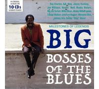 BIG BOSSES OF THE BLUES 10CD WALLET BOX SET-RAY CHARLES,BROWN,BB KING 10 CD NEUF
