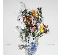 Big|Brave - A Chaos of Flowers