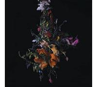 Big Brave - Nature Morte