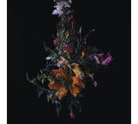 Nature Morte/Limited
