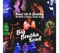 Big Brutha Soul - Soul of a Brutha -Birth of Her