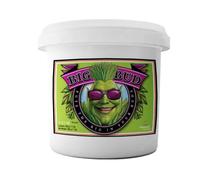 Big Bud - 130g - Powder - Stimulateur de floraison - Advanced Nutrients