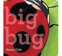 Big Bug