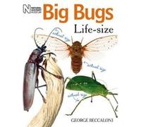 Big Bugs Life-Size Beccaloni, George (Auteur)