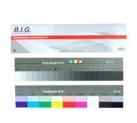BIG Carte grise et carte de couleur 36cm #14