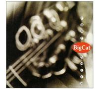 Big Cat [Import]