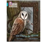 Big Cat L&s_The Owl Mirror