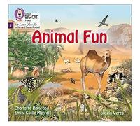 Big Cat Phonics For Little Wandle Letters And Sounds Revised - Animal Fun