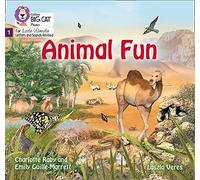 Big Cat Phonics For Little Wandle Letters And Sounds Revised - Animal Fun