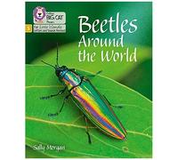 Big Cat Phonics For Little Wandle Letters And Sounds Revised - Beetles Around The World