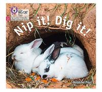 Big Cat Phonics For Little Wandle Letters And Sounds Revised - Nip It! Dig It!