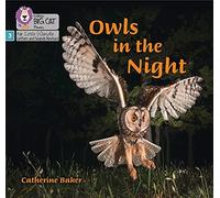 Big Cat Phonics For Little Wandle Letters And Sounds Revised - Owls In The Night